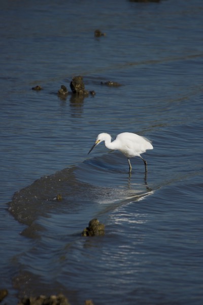 Castillo de San Marcos, St. Augustine, Florida